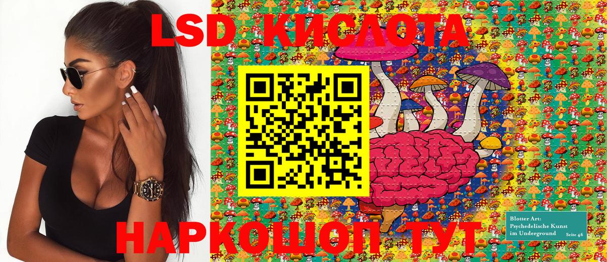 Наркотические марки 1500мкг Лесной