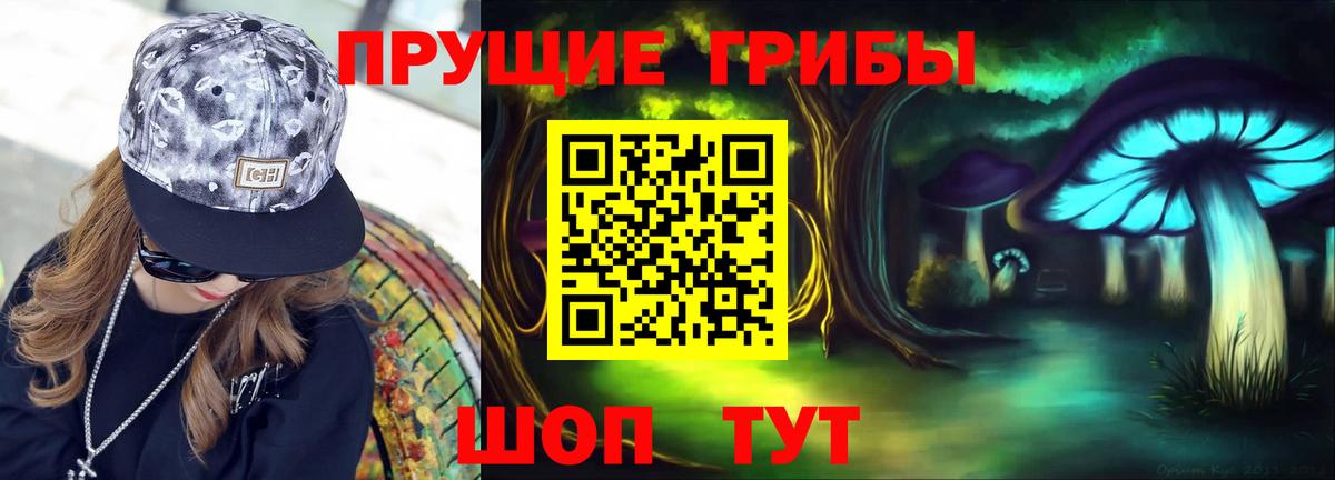 Псилоцибиновые грибы Cubensis  Вход с VPN  Лесной 